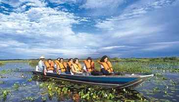 PANTANAL12slide11