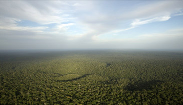 slide41